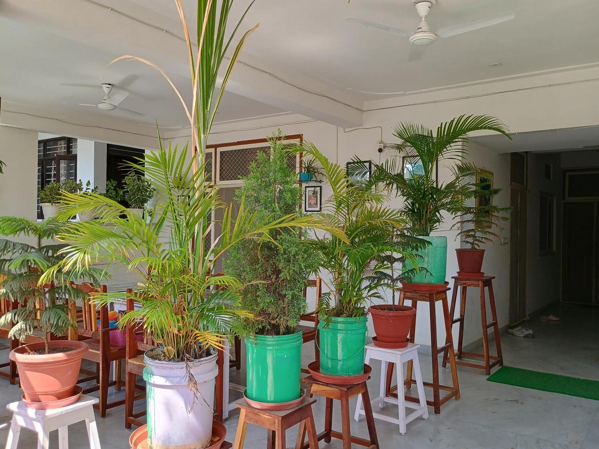 Ferienwohnung Choudhary White House Udaipur Exterior foto