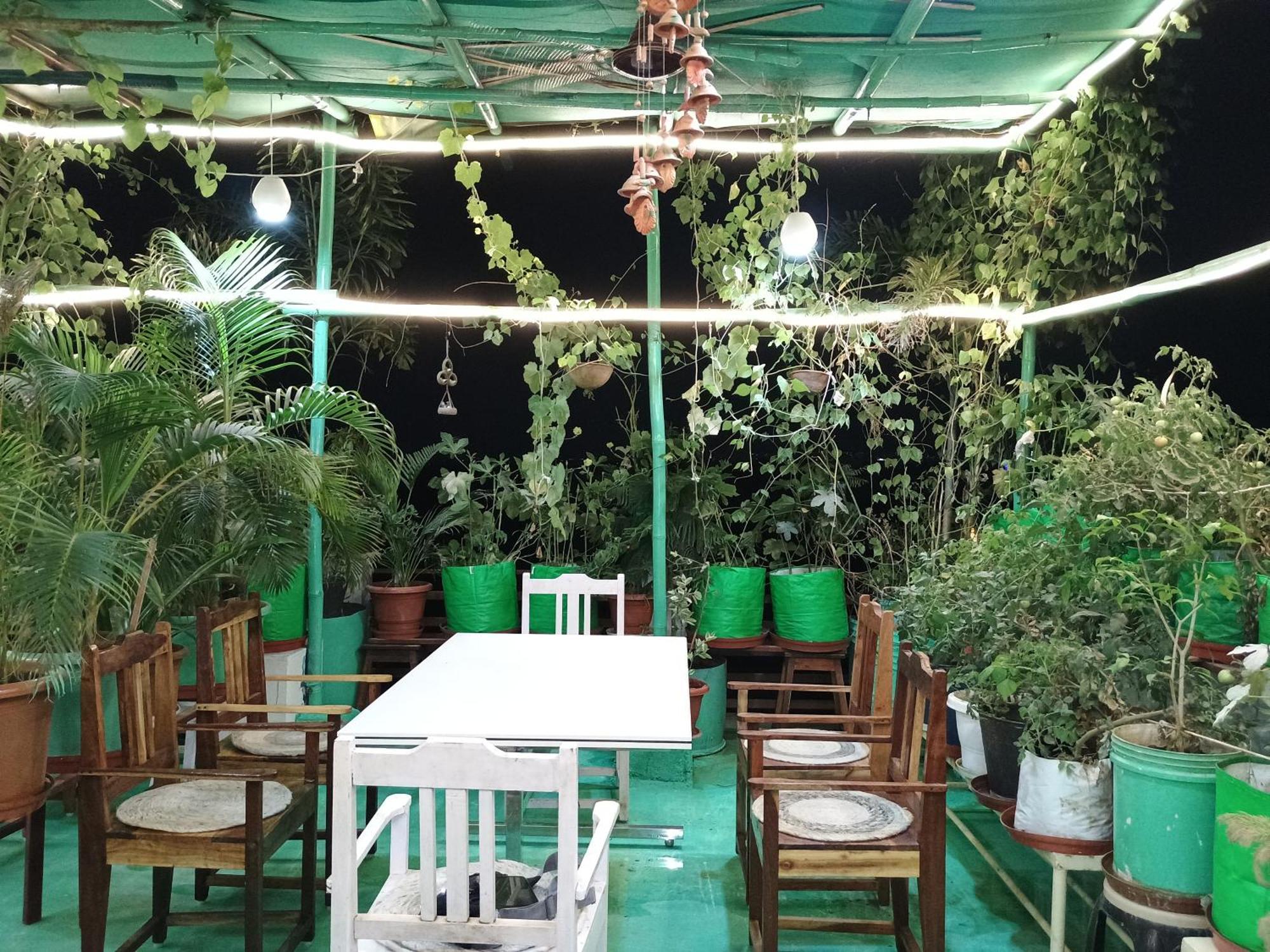 Ferienwohnung Choudhary White House Udaipur Exterior foto