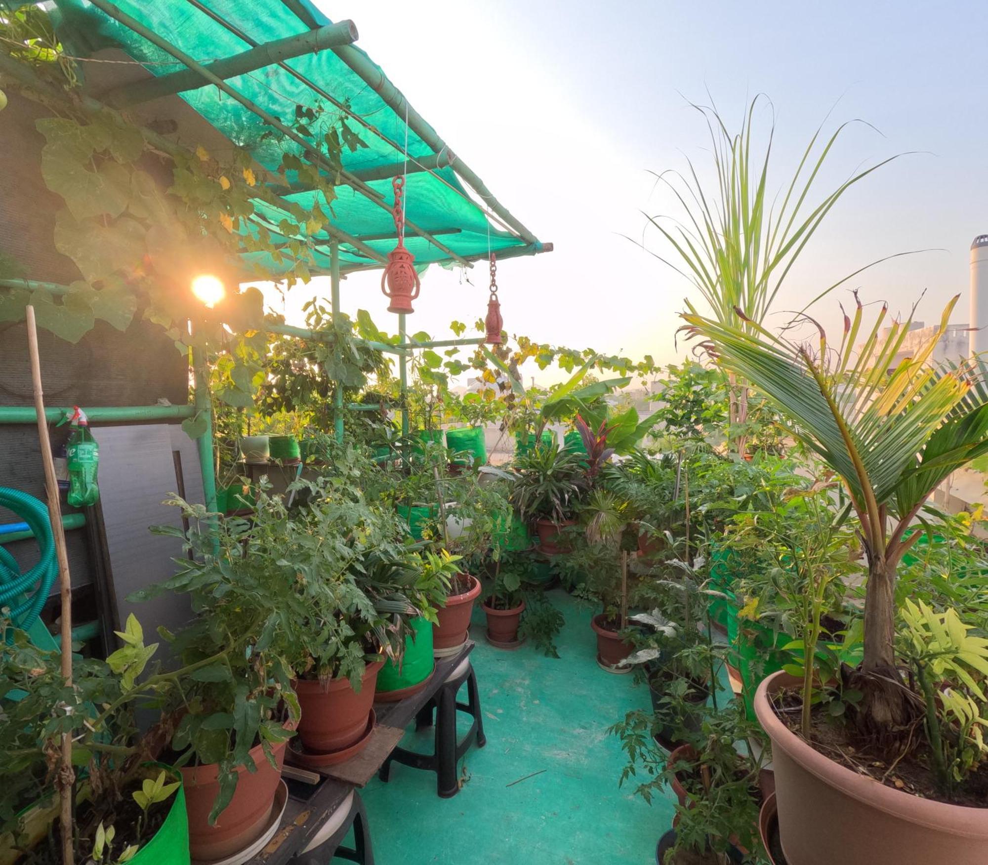 Ferienwohnung Choudhary White House Udaipur Exterior foto