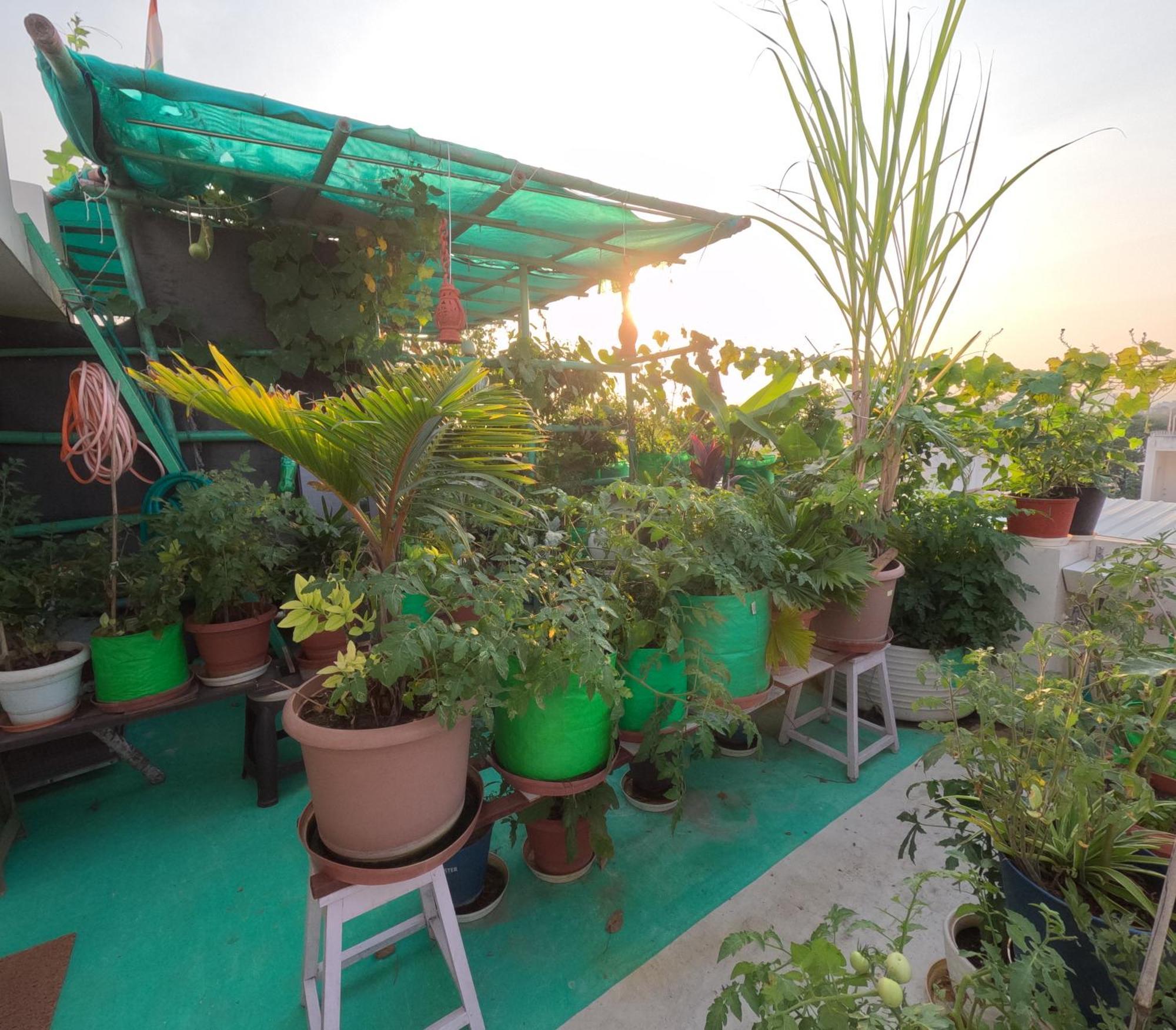 Ferienwohnung Choudhary White House Udaipur Exterior foto